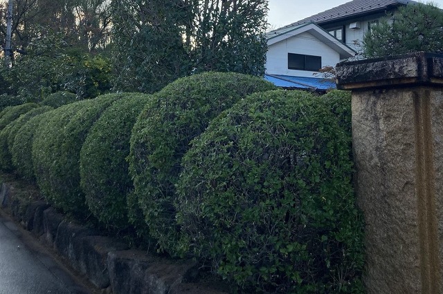 スクリーンショット (12)