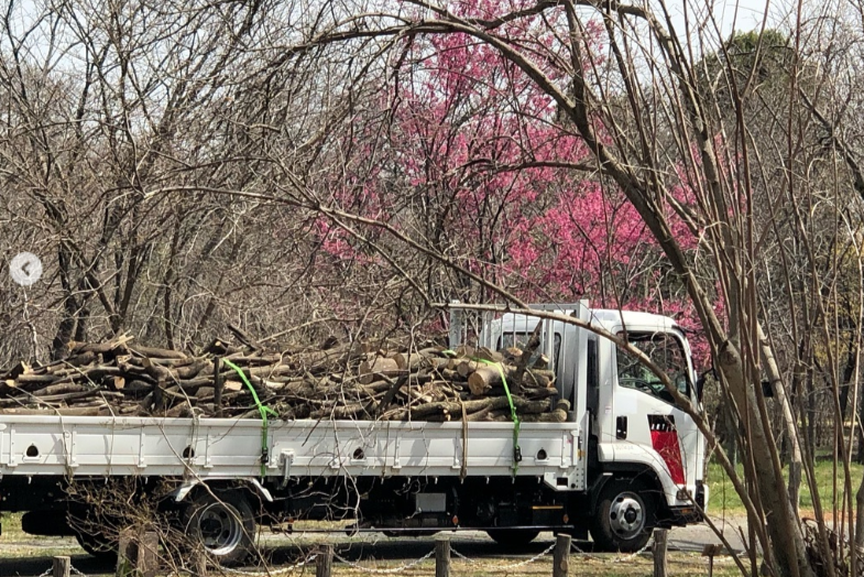 スクリーンショット (12)